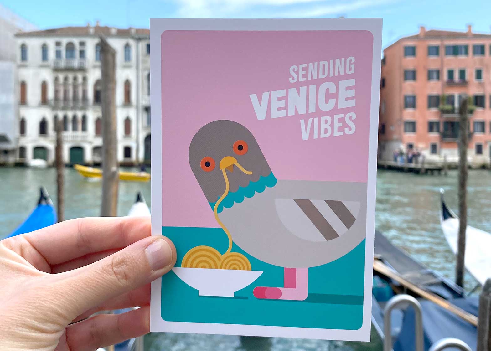 Venetian pigeon postcard